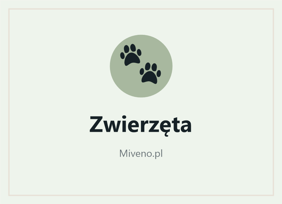 Zwierzęta